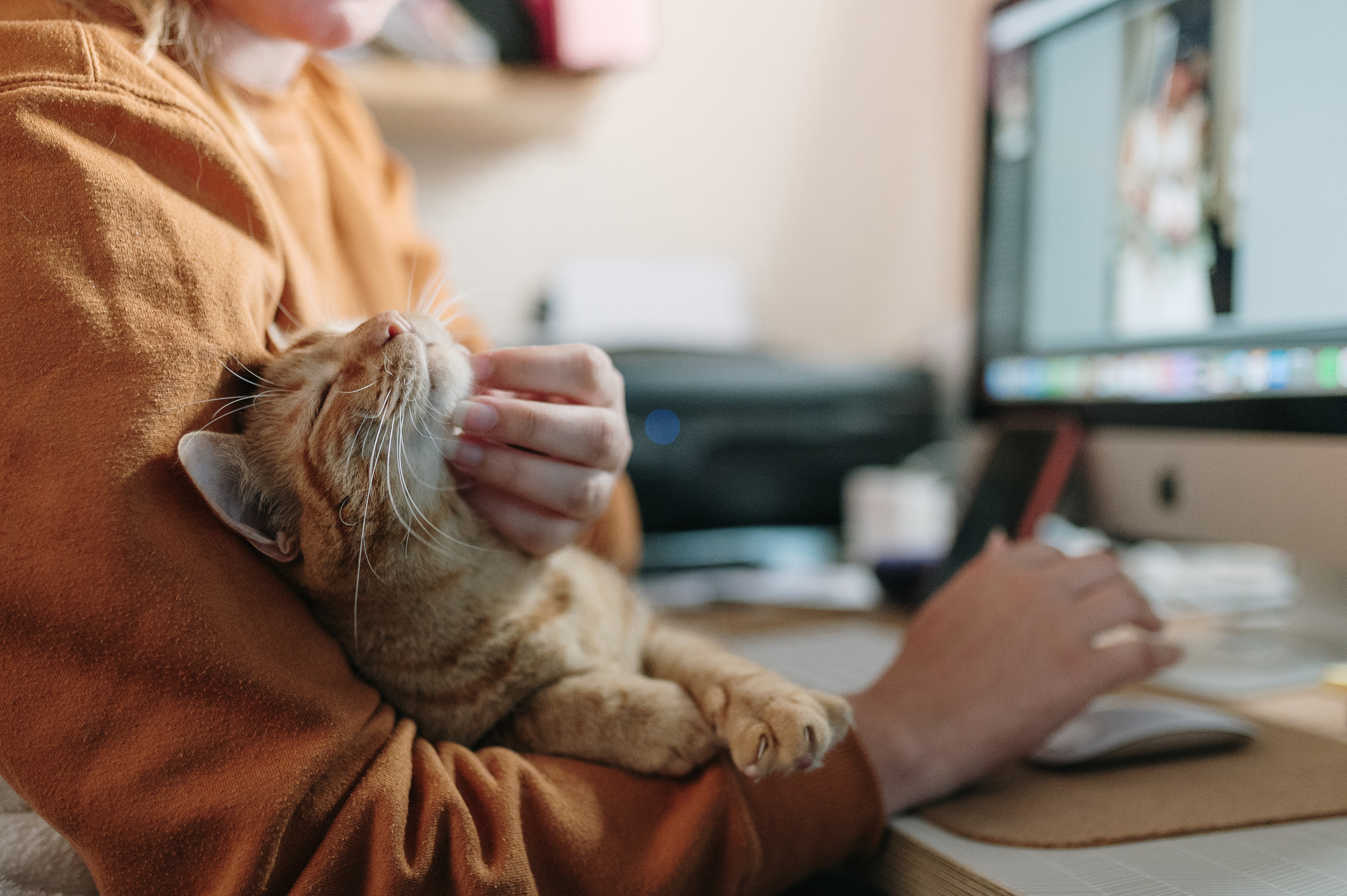 Employee working from home enjoys a more creative employee benefit package than ever before, including things like pet insurance