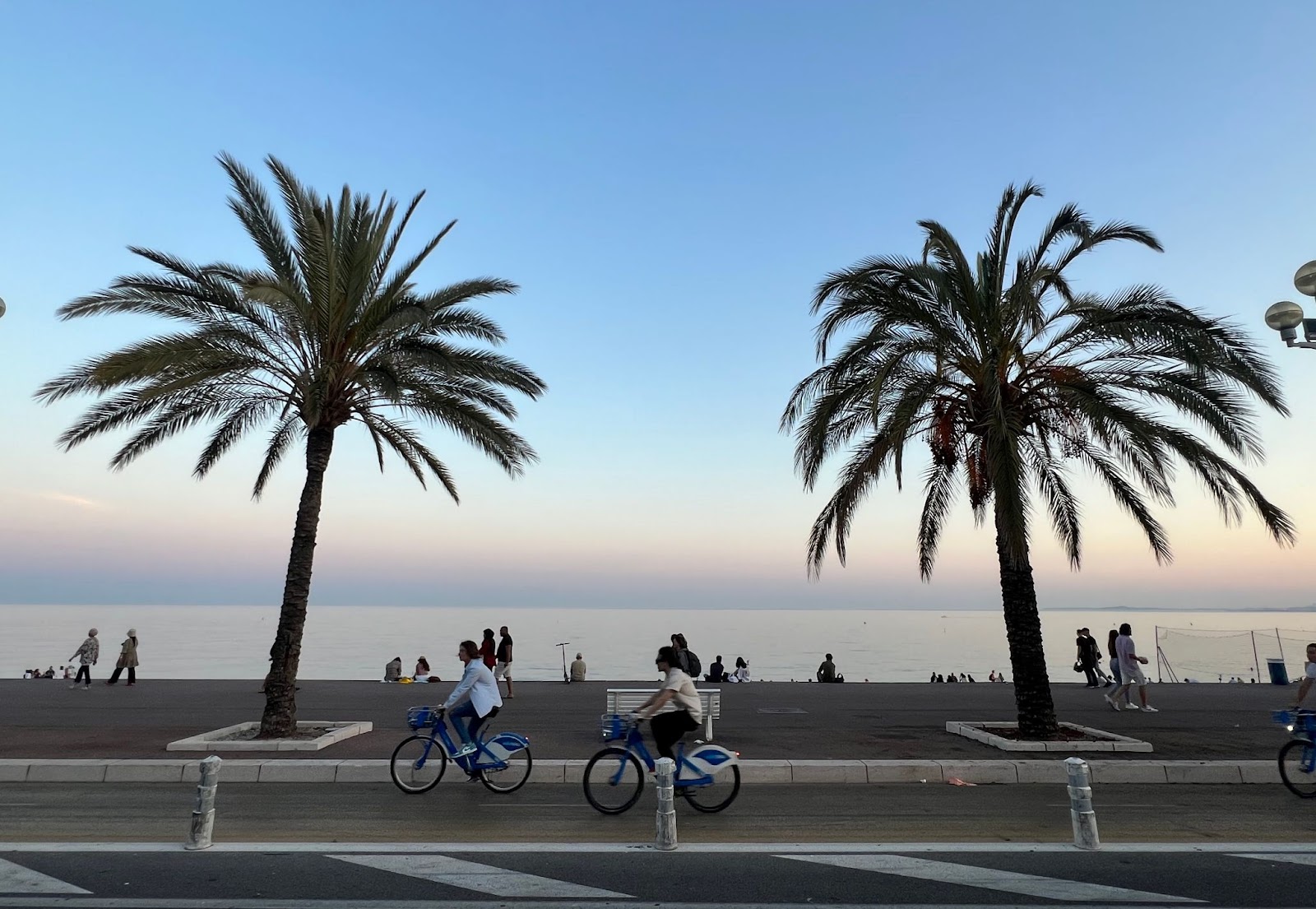 Photo of bicyclists and pedestrians between palm trees in Nice, France.