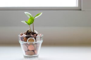 Green plant grows from bowl of coins represents learning what is a backdoor Roth IRA and how to fund it